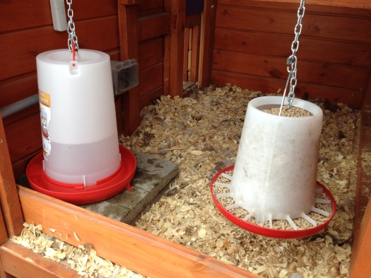 The electric water fountain (left) and the food are now in the hen house.